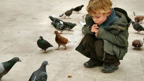 Топ-25 Советов о том, как справиться с негативом на работе и дома