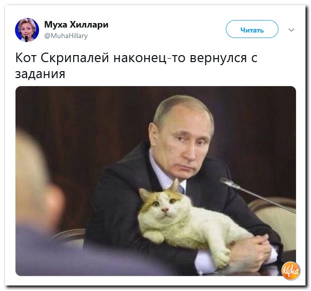 Соцсети жгут! С юмором о злободневном в ехидных скриншотах (политсатира) Соцсети жгут! С юмором о злободневном в ехидных скриншотах (политсатира)