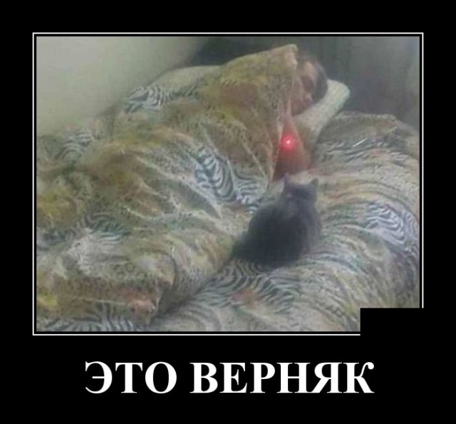 Демотиваторы Демотиваторы