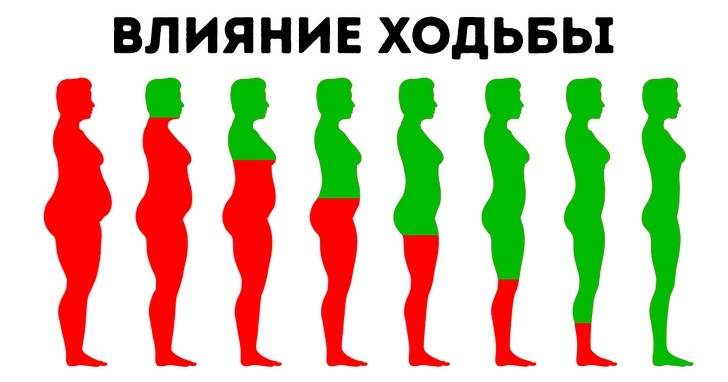 10 вещей, которые произойдут с вашим телом, если ходить пешком ежедневно 10 вещей, которые произойдут с вашим телом, если ходить пешком ежедневно