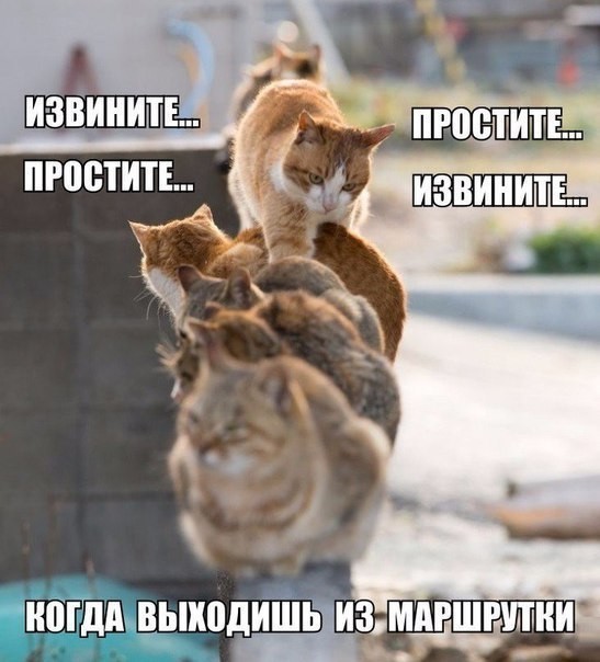 Анекдот про неожиданный вопрос, и еще 20 смешных шуточек