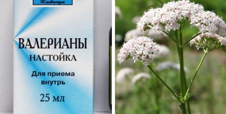Таблетки от бессонницы. Обзор эффективных препаратов