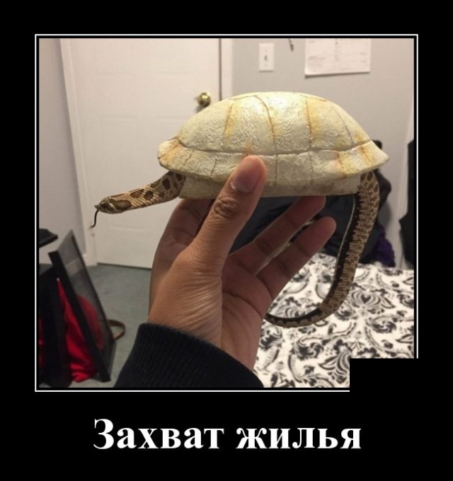 Демотиваторы смешные Демотиваторы смешные