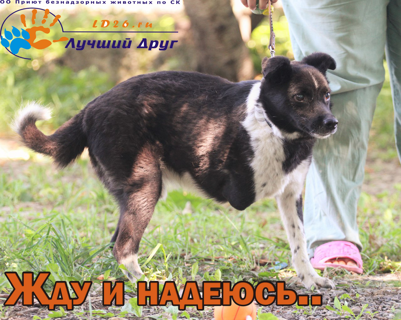 Что девушки бегают за парней Что девушки бегают за парней