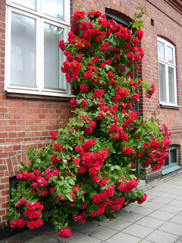 ���������� � ������ ����� � ���: ����� � �����