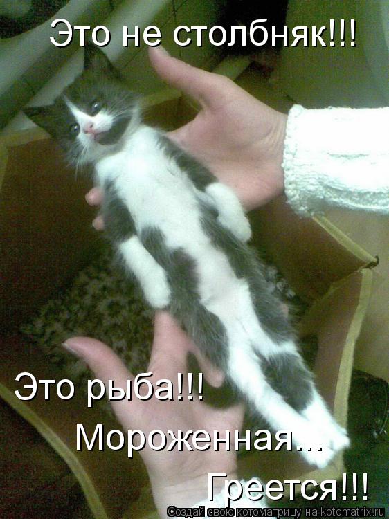  -   !!!  !!! ... !!!