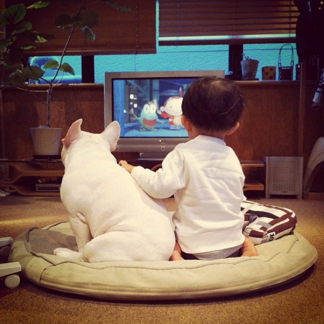 Милота года......Самые добрые и теплые события года, которые умиляют до глубины души.