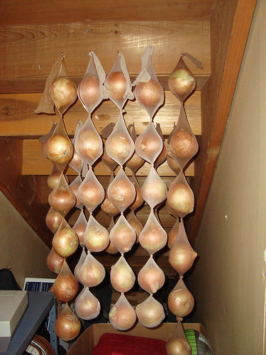 Groceries 1    