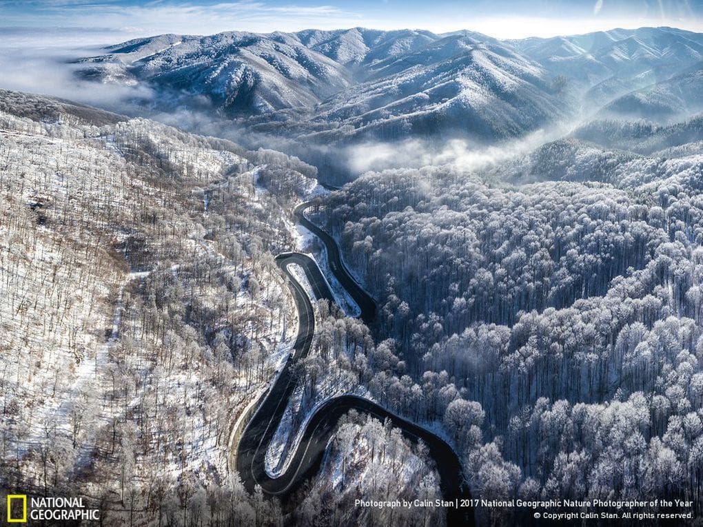 33 fotos, que a revista National Geographic chamou as melhores fotos de vida selvagem de 2017