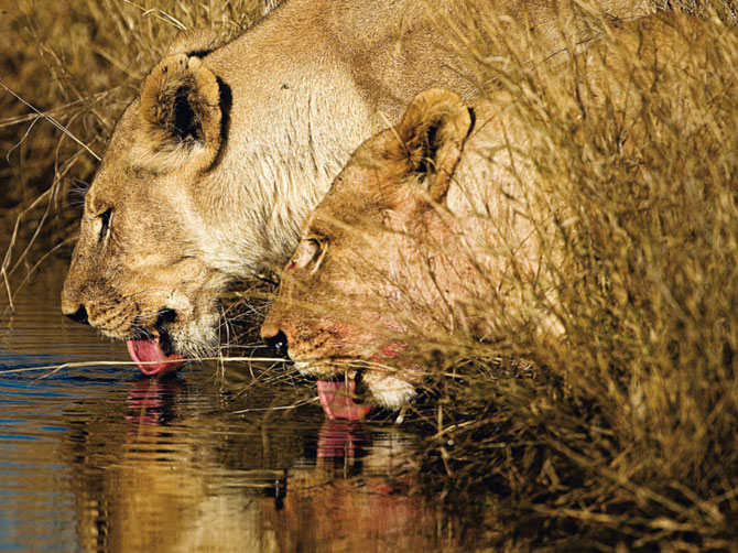 Лучшие фотографии мая 2012 от National Geographic