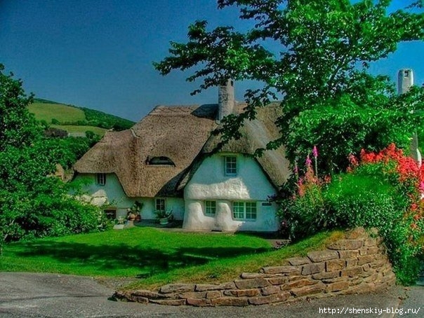 kaT61YkQOp8 (604x454, 238Kb)