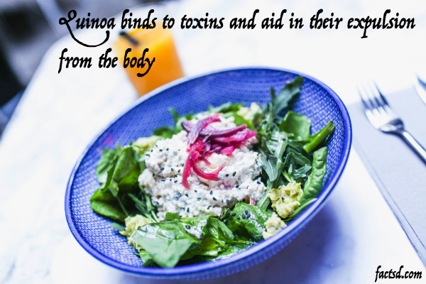 quinoa nutrition facts