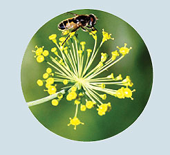 RabochiyMoment-13.jpg RabochiyMoment-13.jpg