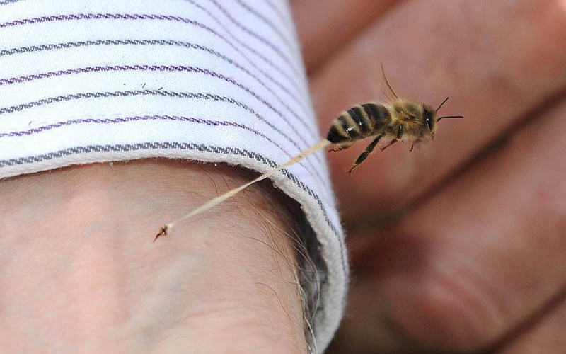 best10 Лучшие фотографии месяца по версии журнала Twistedsifter