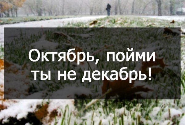 Классные цитаты