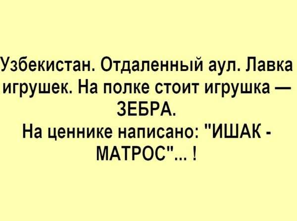 Солянка юмора из сети Солянка юмора из сети