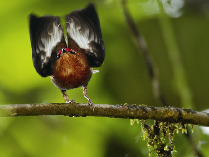 Лучшие фотографии мая 2012 от National Geographic