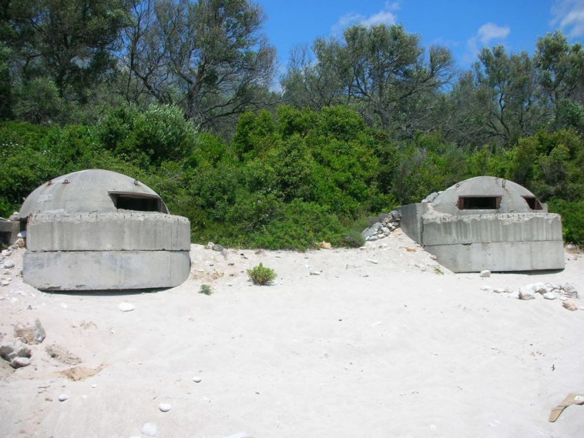 ������ �������� �������, ������, �����������