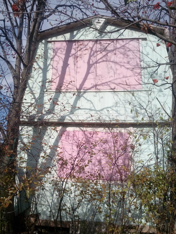 А снаружи домик теперь выглядит так (мы покрасили его в мятный и розовый, используя валики за 50 руб. и лесенку раскладывающуюся):