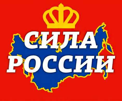 Партия «Сила России» - это, конечно, тот еще кремлевский пирог Партия «Сила России» - это, конечно, тот еще кремлевский пирог