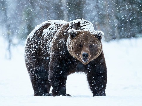 фото: Fotolia.com
фото: Fotolia.com