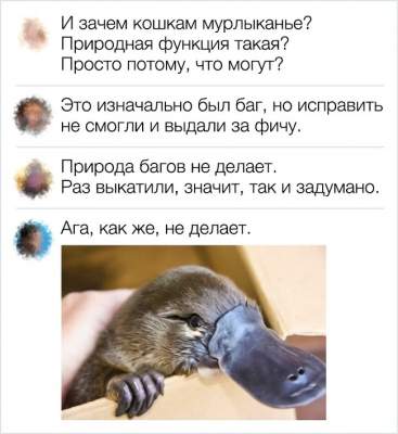 Прикольные комментарии из соцсетей Прикольные комментарии из соцсетей