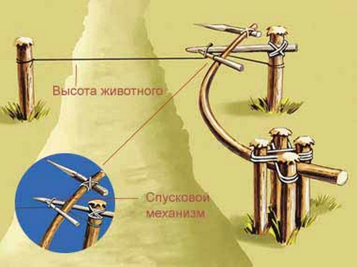 Пронзающие ловушки
