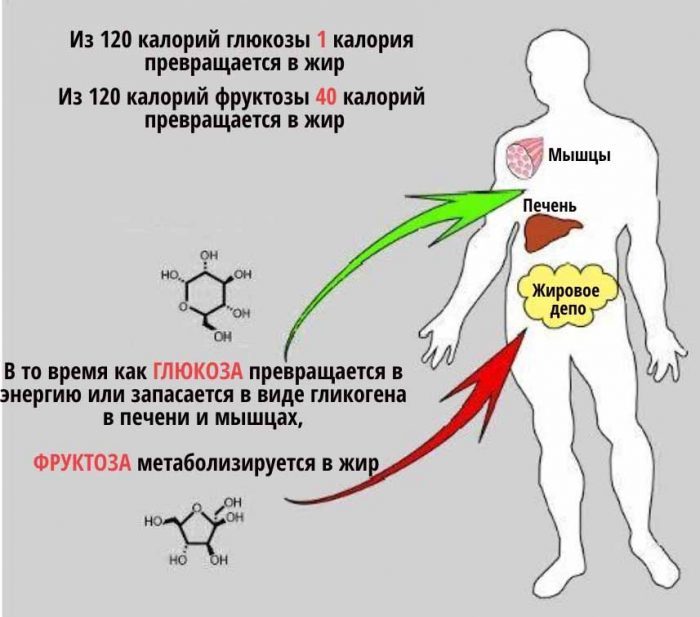 Нехватка жесткого траха в организме