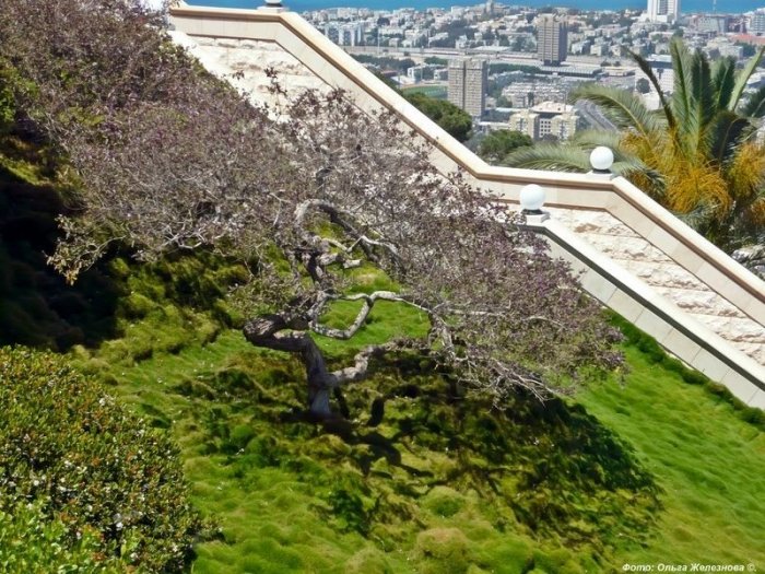 1368089186_5 (700x525, 128Kb)