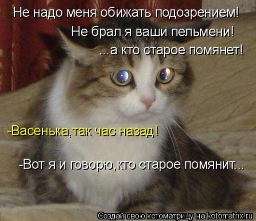 Котоматрицы, которые скрасят улыбкой ваш сегодняшний день!