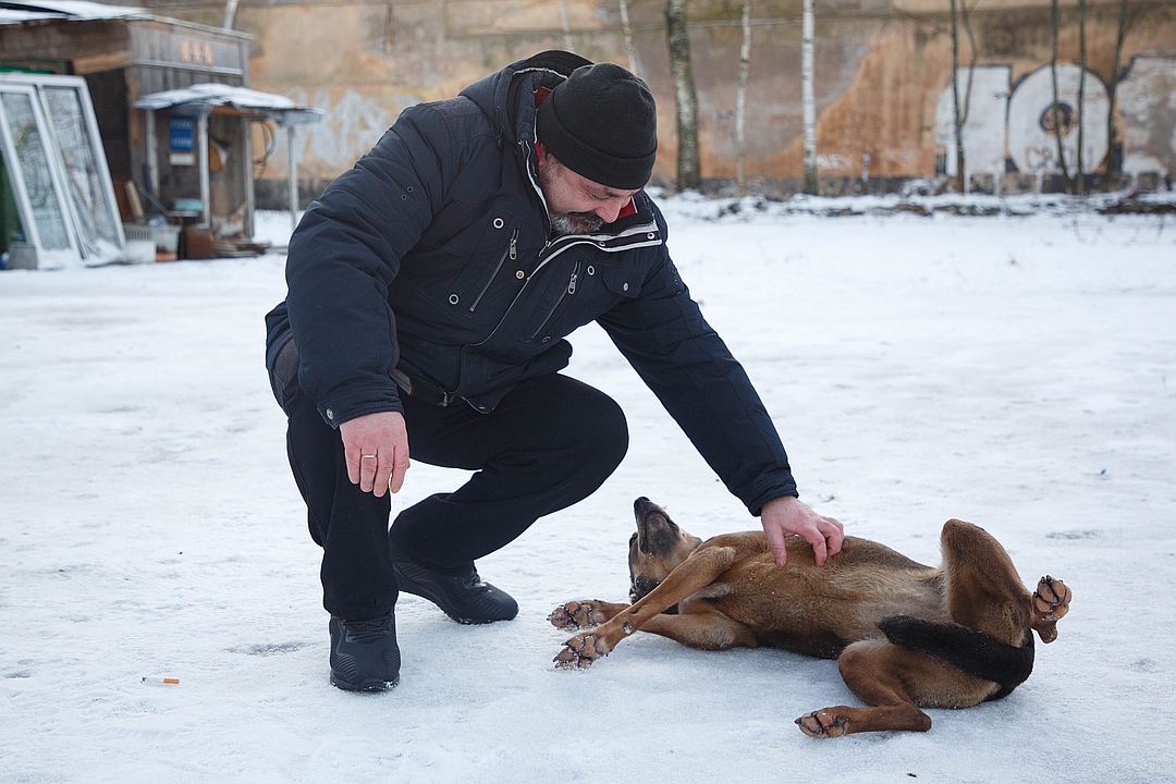 Преданность Преданность