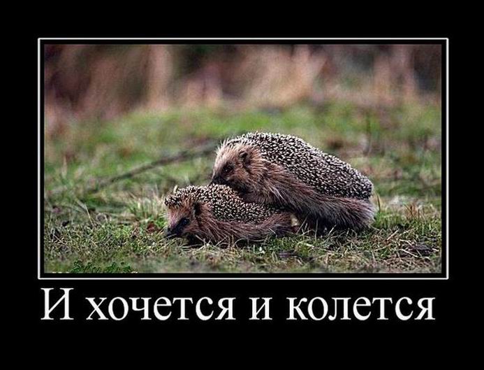 Демотиваторы, правильный фотограф... Демотиваторы, правильный фотограф...