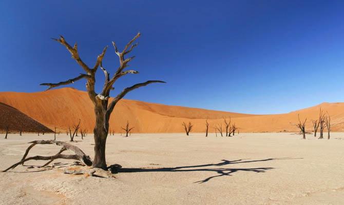 засуха в Ливии, Интересные факты о Странах Мира