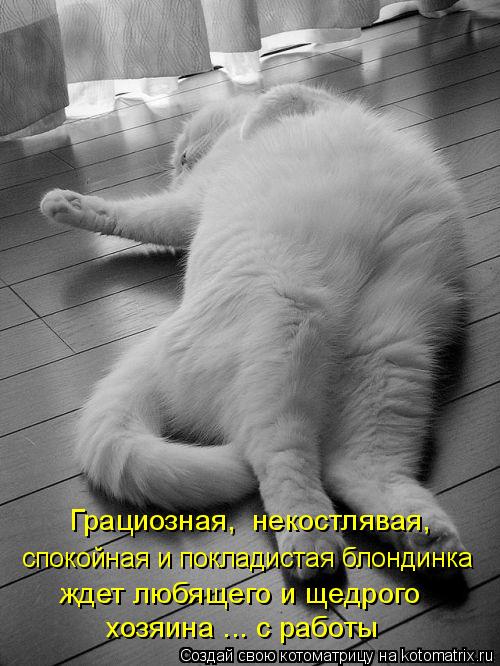  - ,  ,        
