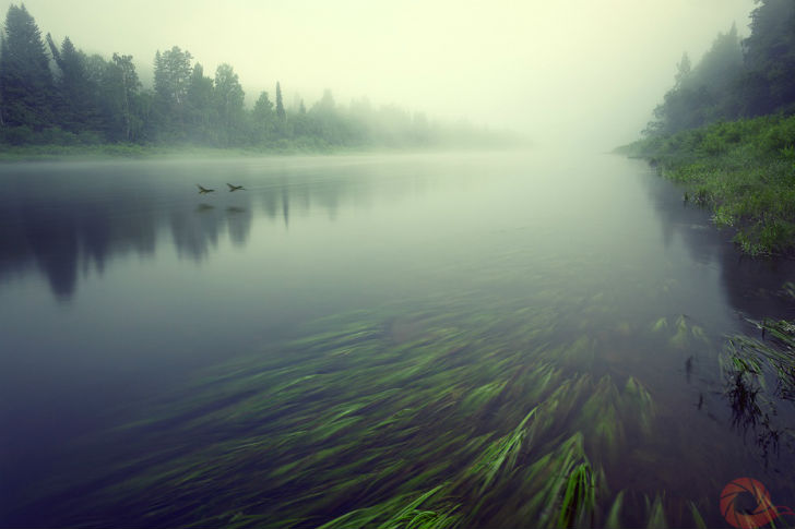 Природа России 14 Природа России 14