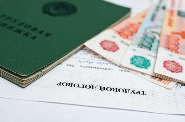 Не пособие по безработице, а пособие по работе Не пособие по безработице, а пособие по работе