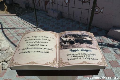 Чудо-юдо рыба-кит