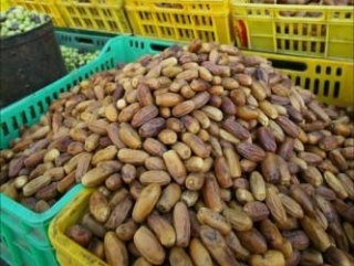 Любимый плод Пророка избавляет от рака и вирусов