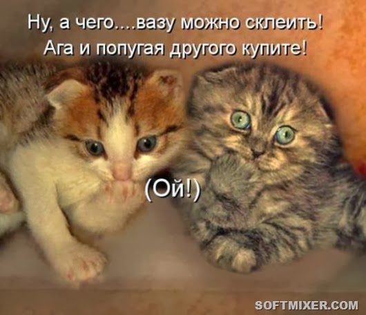 82f5de8395454b9a8434cb1fdfc_prev 82f5de8395454b9a8434cb1fdfc_prev