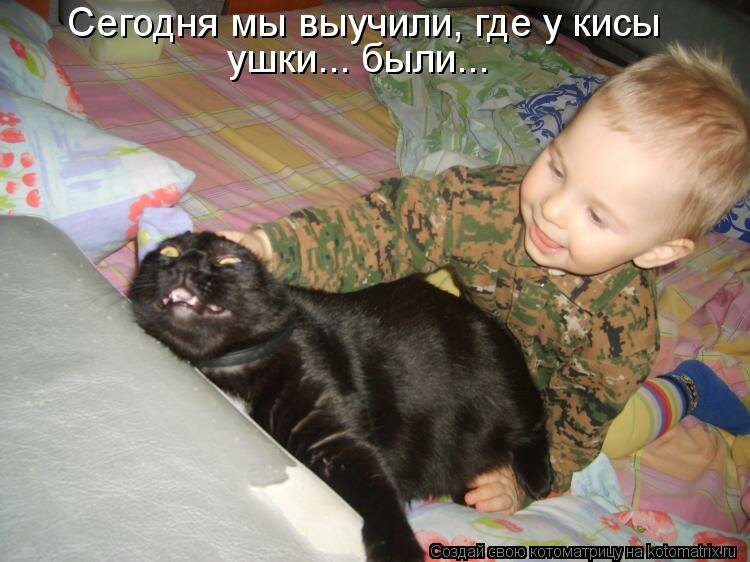 Фото взято из открытого источника Яндекс.Картинки