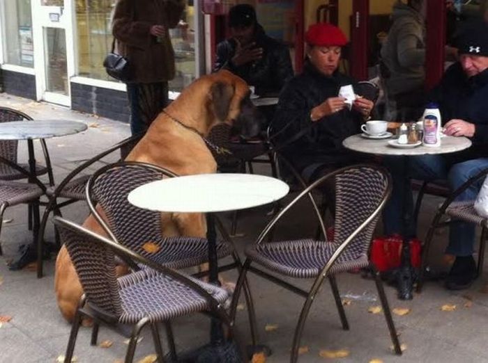 30 интересных снимков
