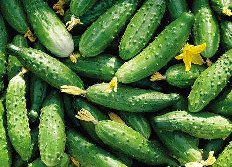 Конкурент Конкурент