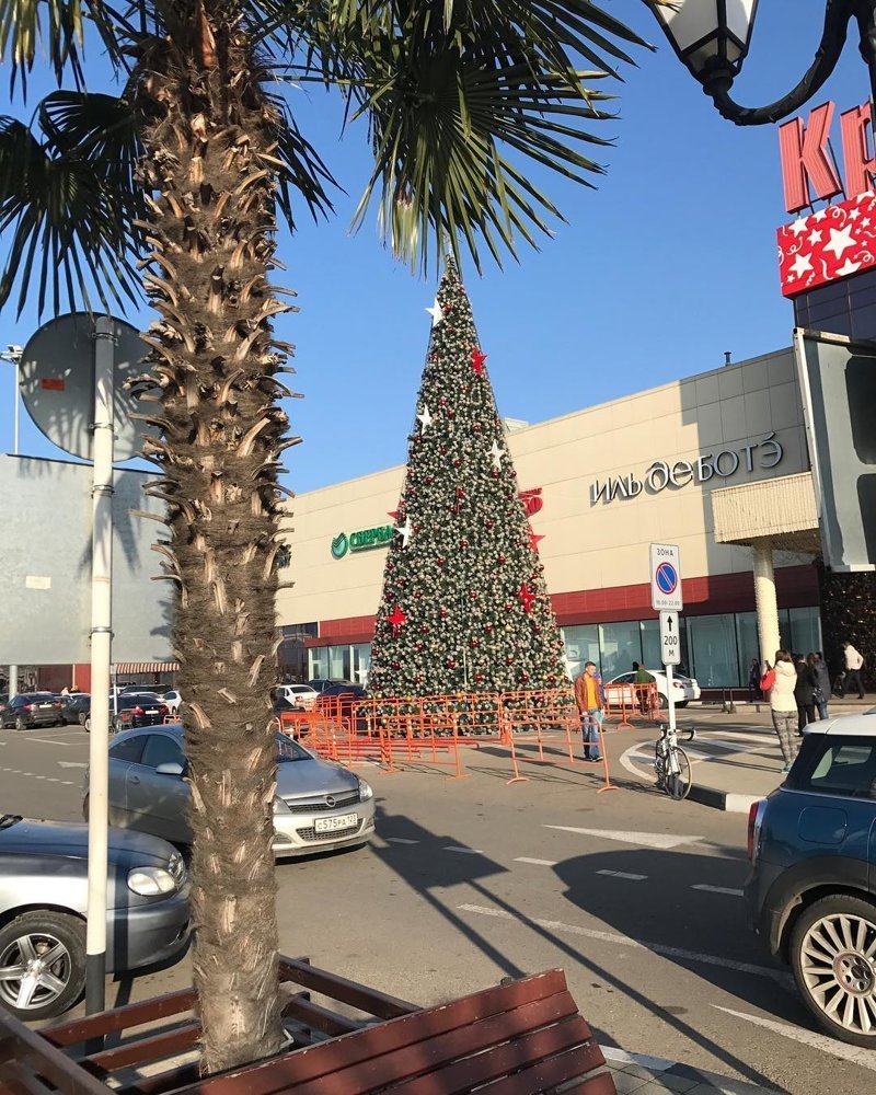 Вот так выглядит зима в Краснодаре Вот так выглядит зима в Краснодаре Города России, Кубань, Юг России, Южная столица, города, краснодар, краснодарский край