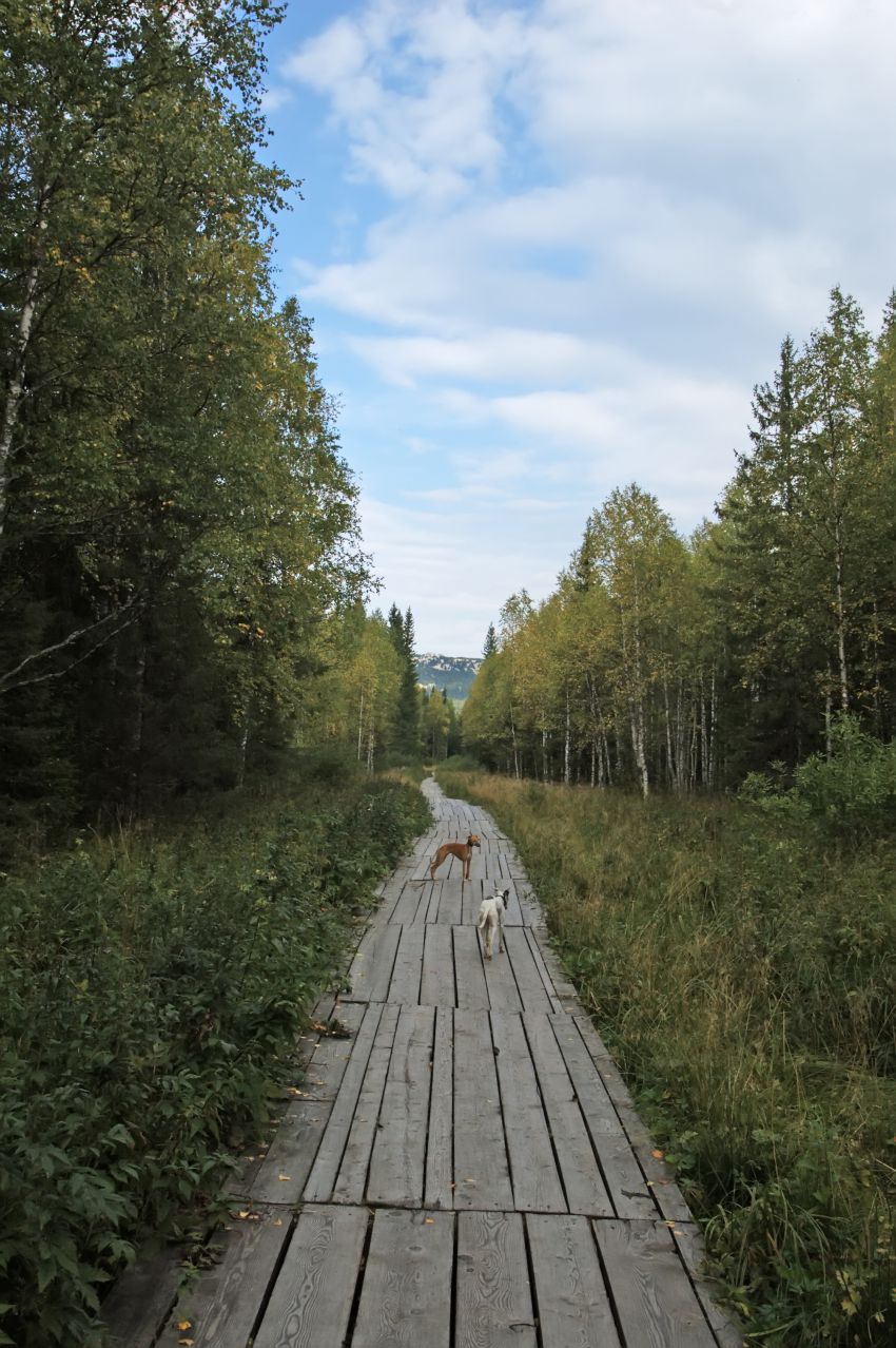 интересное, фото