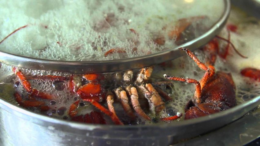 Раки, рыбалка, рецепт, блюдо, кухня