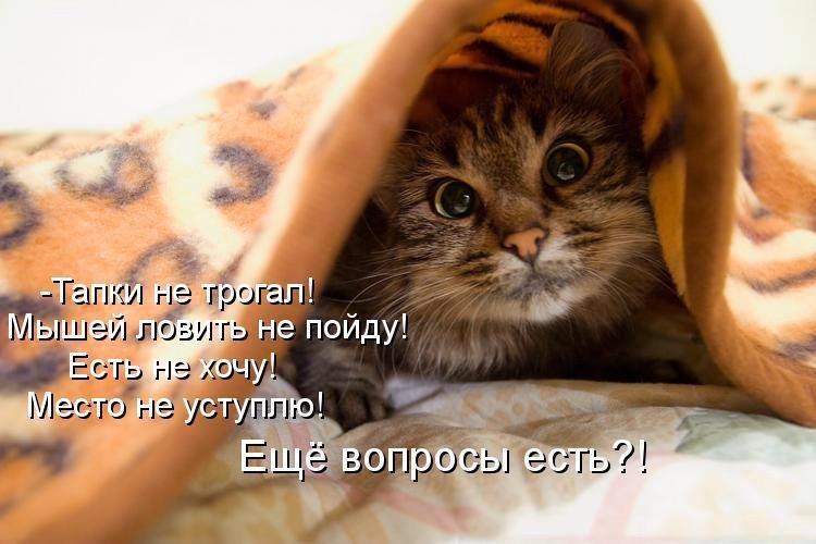 Садятся в такси три пьяных девушки. ... Улыбнемся))) Садятся в такси три пьяных девушки. ... Улыбнемся)))