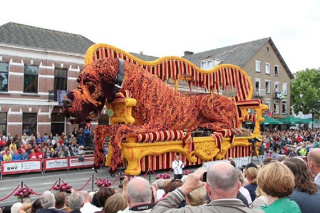 NewPix. ru -    Bloemencorso