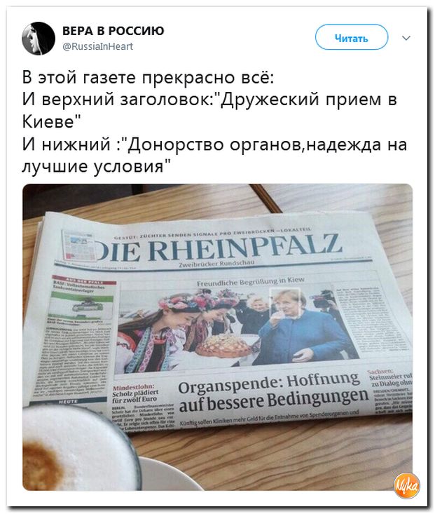 Соцсети жгут! С юмором о злободневном в ехидных скриншотах (политсатира) Соцсети жгут! С юмором о злободневном в ехидных скриншотах (политсатира)