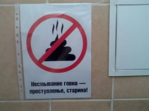 Инструкция Пользование Туалетом Дома Приколы Картинки