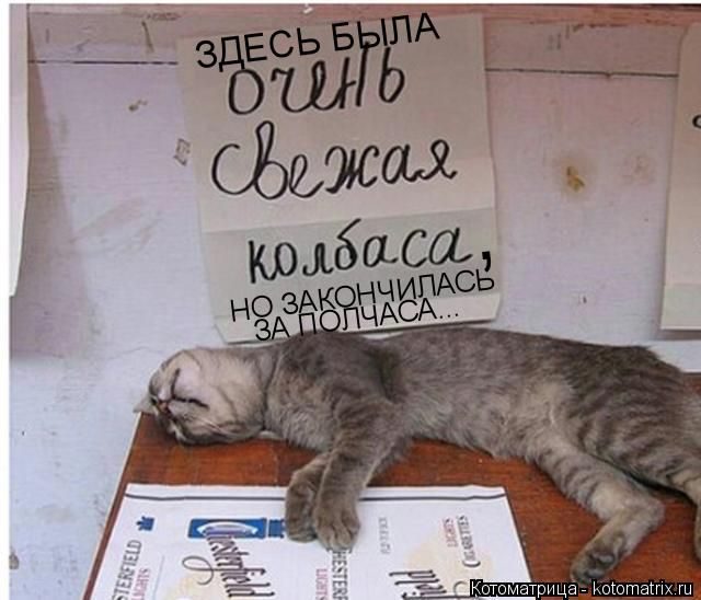 Лучшие котоматрицы за прошедшую неделю)) Лучшие котоматрицы за прошедшую неделю))